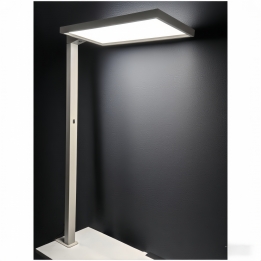 LED TABLE LAMP